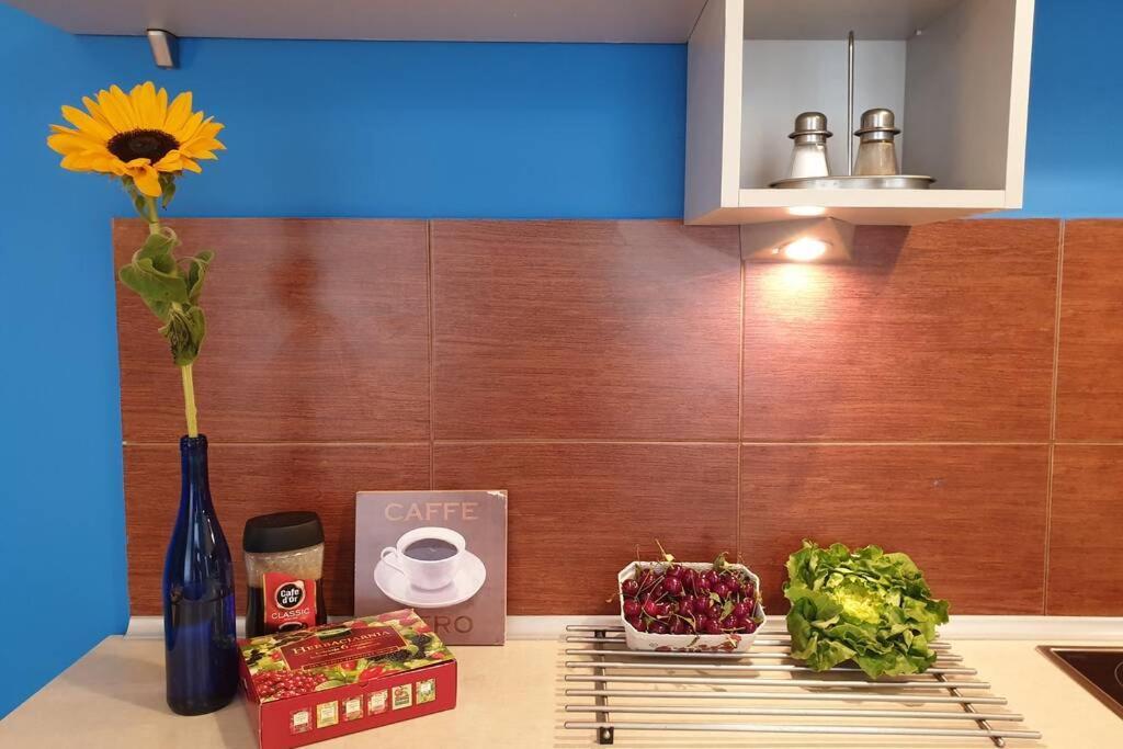 The Quiet Blue Home In The City Center! คราคูฟ ภายนอก รูปภาพ